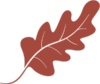 Leaf Divider Image